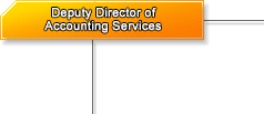 Deputy Director of Accounting Services